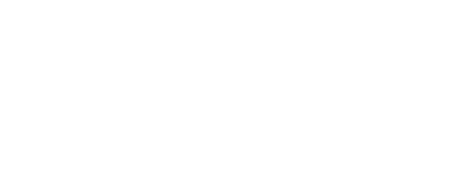 WHY NOT CONSULTING GROUP